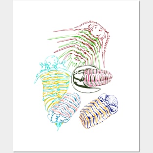 Silurian and Devonian Era Trilobites Posters and Art